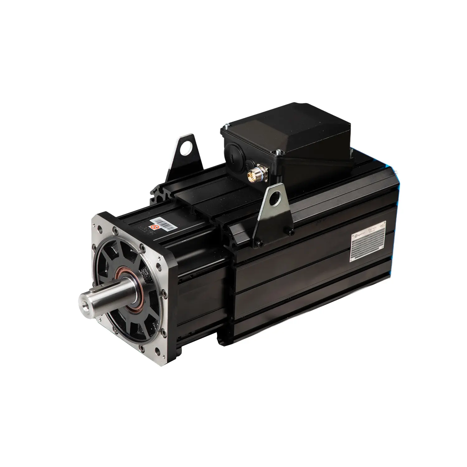 Servo motor